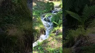 Thumbnail: Small Waterfall 🏞️ #streamsounds   #waterfalls #watersounds #creeksounds  #naturesounds #relaxing