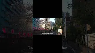 Thumbnail: Bye bye  #sakura