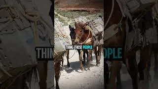 Thumbnail: The Most ISOLATED Town In the U.S.