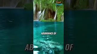 Thumbnail: Plitvice Lakes: Discover Croatia’s Hidden Natural Paradise!