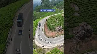 Thumbnail: India’s Most Beautiful Hill Station? 😍 Munnar #munnar #kerala #keralatourism #shorts