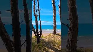 Thumbnail: Nature reserve in Wales.From Forest to Sea: Peaceful Walk to a Tidal Island, with relaxing music.