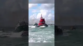 Thumbnail: 🚢💨 Tugboat Race with Kids! So Much Fun! 🎉 @travelkidsTVSHow