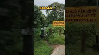 Thumbnail: INDIAN RAILWAYS TRAIN VIDEOS | INDIAN RAILWAYS SLEEPER COACH TRAIN JOURNEY | TRAIN TRAVEL IN KERALA