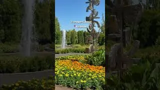 Thumbnail: 12 Sunny Dog Day Spots Across Oregon 🐶