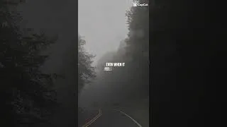 Thumbnail: Tennessee Road Trip | Smoky Mountains#smokymountains #shorts