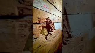 Thumbnail: 1865 jail from Fort Dodge KS, now located at the Boot Hill Museum in Dodge City