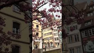 Thumbnail: Strasbourg mornings