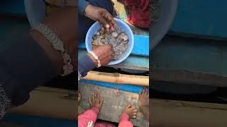 Thumbnail: Person selling Pearl🦪 near Chillika Lake🚣‍♂️