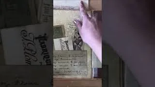 Thumbnail: A book full of surprises!