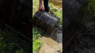 Thumbnail: I found the treasure chest hidden in the swamp by the stream.#treasurehunter