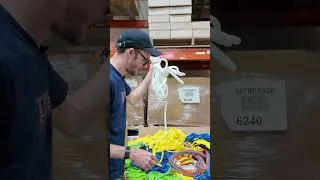 Thumbnail: What's Inside The MOST POPULAR TreeStuff Product? TreeStuff #shorts