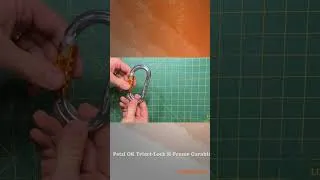 Thumbnail: Petzl OK Triact-Lock H-Frame Carabiner - Dan Wesson's TreeStuff Customer Review #shorts