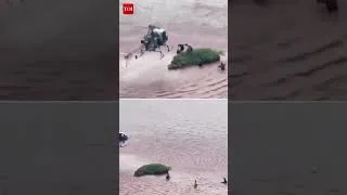 Thumbnail: #Punjab | Indian Army Aviation’s Cheetah helicopters braved extreme conditions to rescue 27 lives