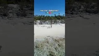 Thumbnail: You + me + Bahamas?! 🇧🇸😍 #bahamas #travel #caribbean