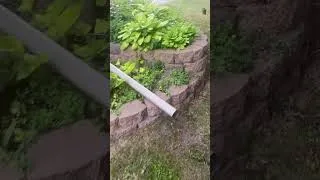 Thumbnail: Walking in the yard