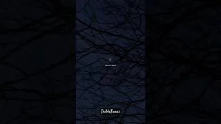 Thumbnail: Tere Hawale | Arijit Singh | #terehawale #shorts #arijitsingh