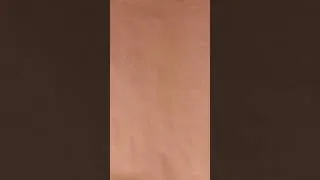 Thumbnail: Parchment Paper vs. Wax Paper vs. Butcher Paper