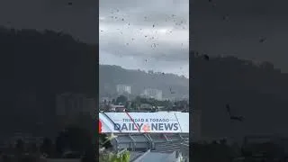 Thumbnail: Breaking: Possible Tornado in Trinidad! Homes Damaged, Roofs Ripped Off #thetornados #weather
