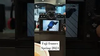 Thumbnail: some recent frames