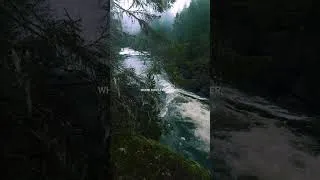 Thumbnail: Where the Forest Kisses the River: A Serene Escape into Nature 🌿💦#travel #naturelovers