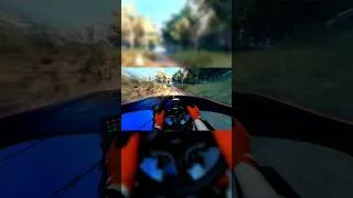 Thumbnail: Dirt Rally 2.0 POV | MOZA R3 12 inch