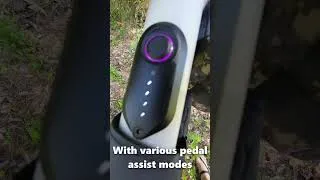 Thumbnail: Budget Gravel E-Bike? Yep, Velotric 1ST