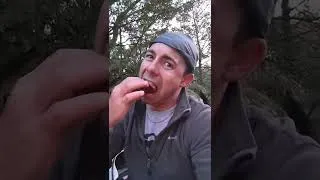 Thumbnail: Rocky Mountain Oysters over Campfire