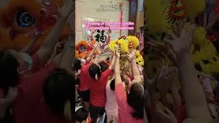 Thumbnail: Chinese New Year: Lion and Dragon Dance | Trisha Yu