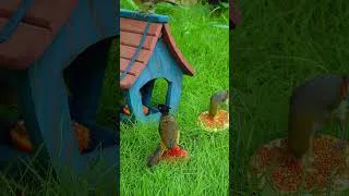 Thumbnail: CAT TV 🐦 Busy Bird Feeder with Nonstop Action for Curious Cats | 10 Hours 4K HDR