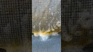 Thumbnail: Don't Throw Away Your Stained Old Car Seats! ASMR · No AI