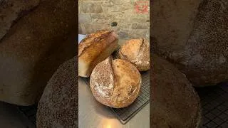 Thumbnail: I Broke Every Sourdough Rule. And It Worked