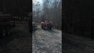Thumbnail: He never ceases to amaze me #farmkids