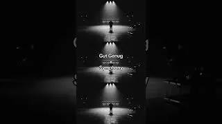 Thumbnail: Gut Genug X Symphony (Mashup)