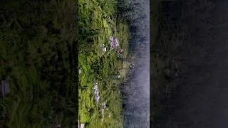 Thumbnail: HARSHIL VALLEY || Truevlogerr || #mountains #trending #shorts