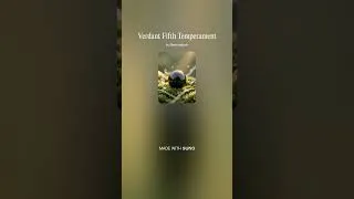 Thumbnail: Verdant Fifth Temperament V.01