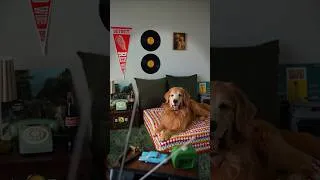 Thumbnail: Every good boy has a story...