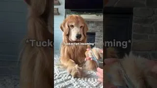 Thumbnail: Nothing like a pair of freshly trimmed beans 🫘