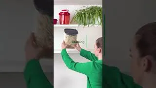 Thumbnail: Ultra Clear Containers