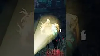 Thumbnail: no way they let me do that in 2v8.. #dbd #shorts