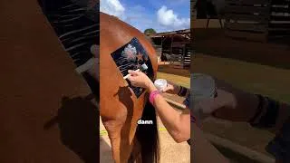 Thumbnail: Dieses Mädchen hat ein wunderschönes Design auf einem Pferd entworfen 🐎❤️