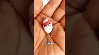 Thumbnail: Das Mädchen hilft dem Papagei 🦜❤️
