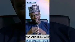 Thumbnail: With Kidnapped Victims Being Rescued, Farmers Can Return to Their Farms - Analyst, Ibrahim Garba