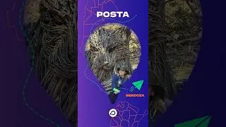 Thumbnail: Visita a la Reserva Natural Villavicencio - Posta
