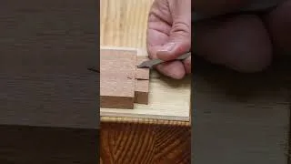 Thumbnail: Dovetail practice           #woodworking #woodshop #handtoolwoodworking #dovetail