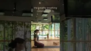Thumbnail: The power of your breath