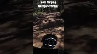 Thumbnail: Awesome night #MotoCamping in the Border Ranges NP