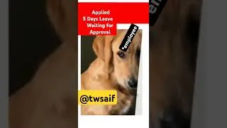 Thumbnail: Wait for leave approval #leaves #funny #funnymemes #hr #trending #memes #shortvideo #shorts #dog