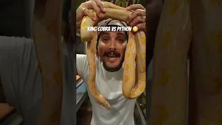Thumbnail: Rusty enjoys an Albino Python for Lunch 🍽️