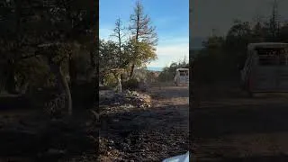 Thumbnail: Start of a good day #cowboys